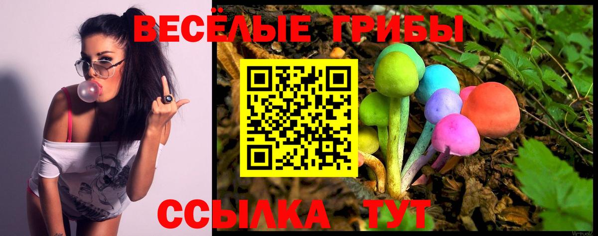 Мытищи  Псилоцибиновые грибы Magic Shrooms  Вход с VPN 
